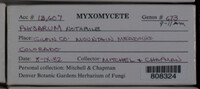 Image Associated With the Occurence